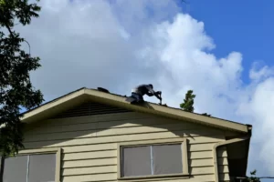 Roof Repair Yuma
