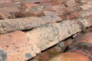 damaged shingles in yuma